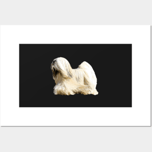 Lhasa Apso Posters and Art